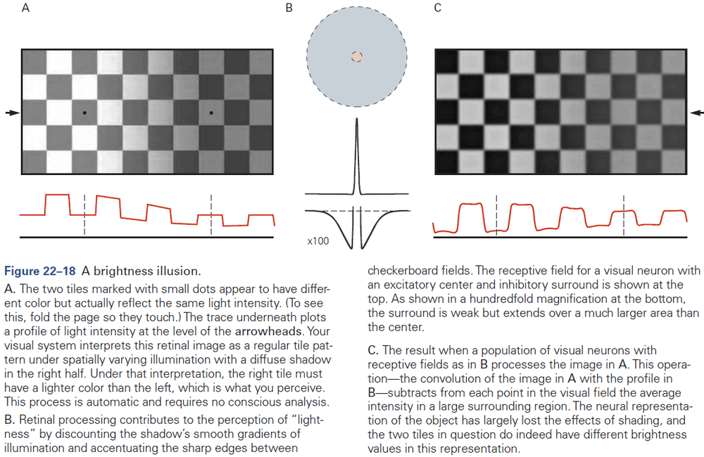 Figure 22.18