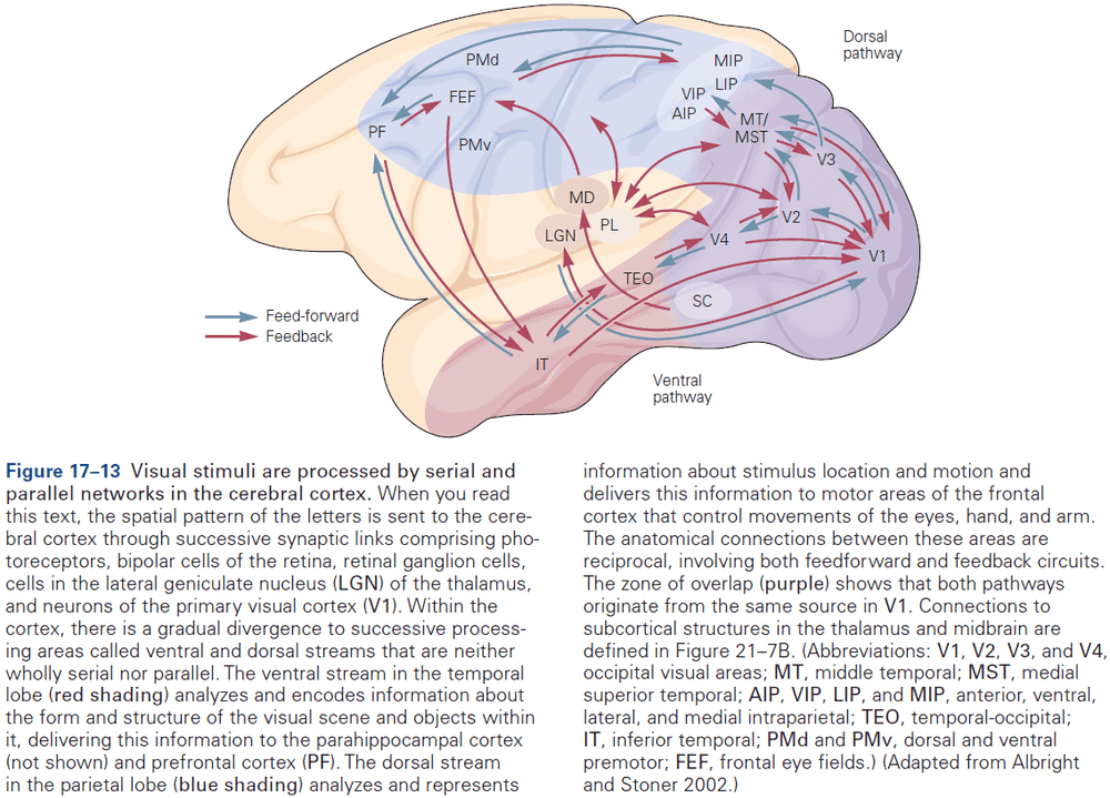 Figure 17.13