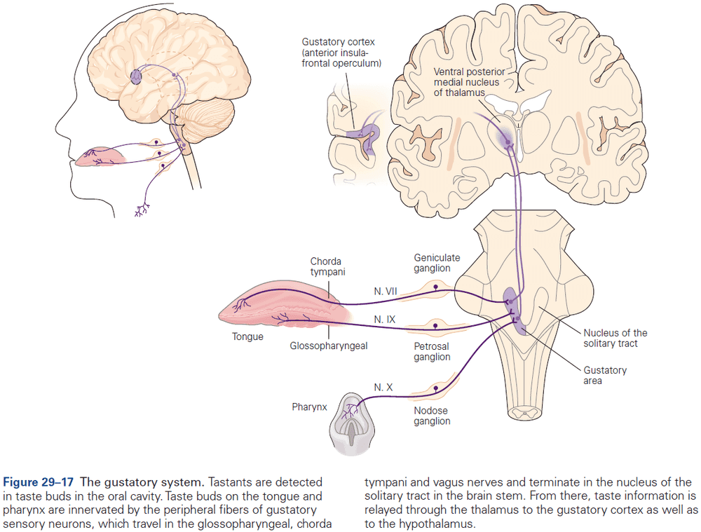 Figure 29.17