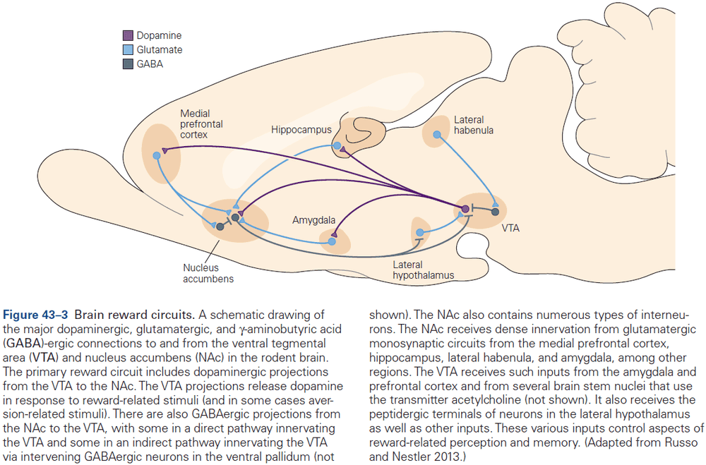 Figure 43.3