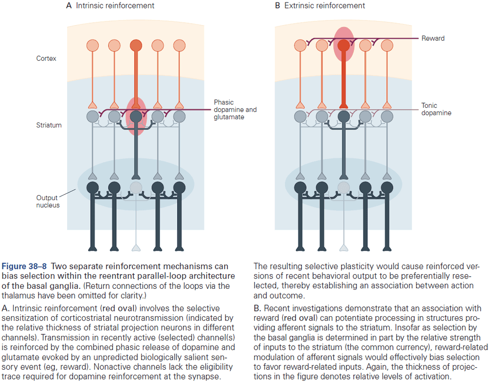 Figure 38.8