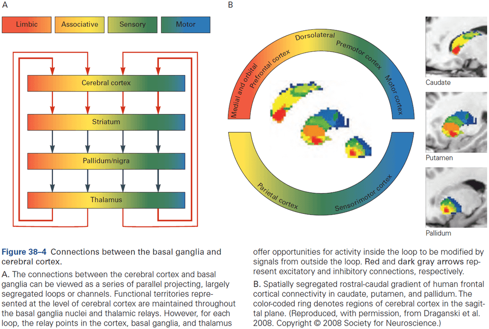 Figure 38.4