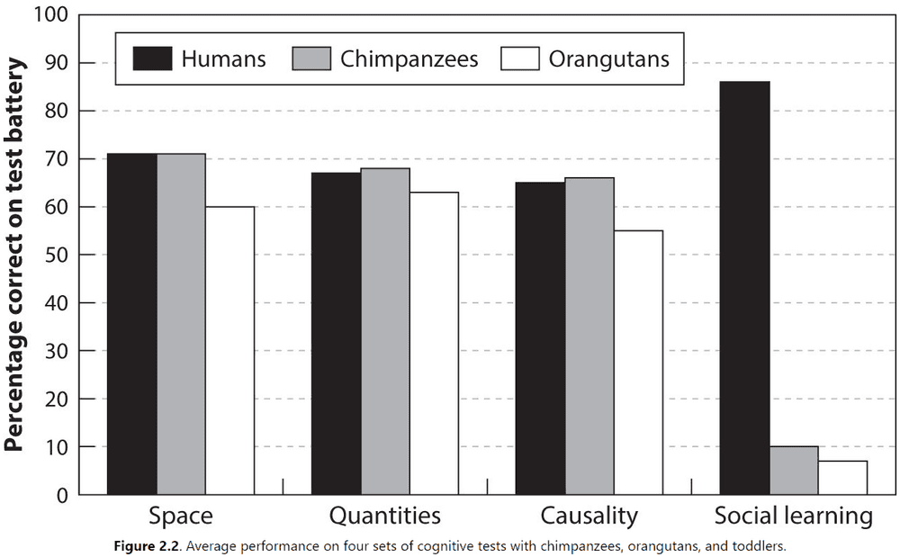 Figure 2.2