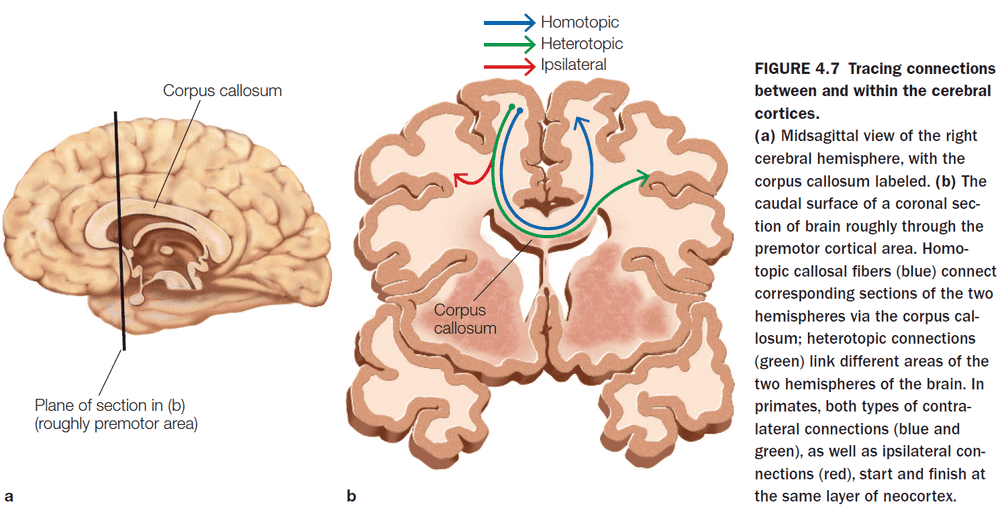 Figure 4.7