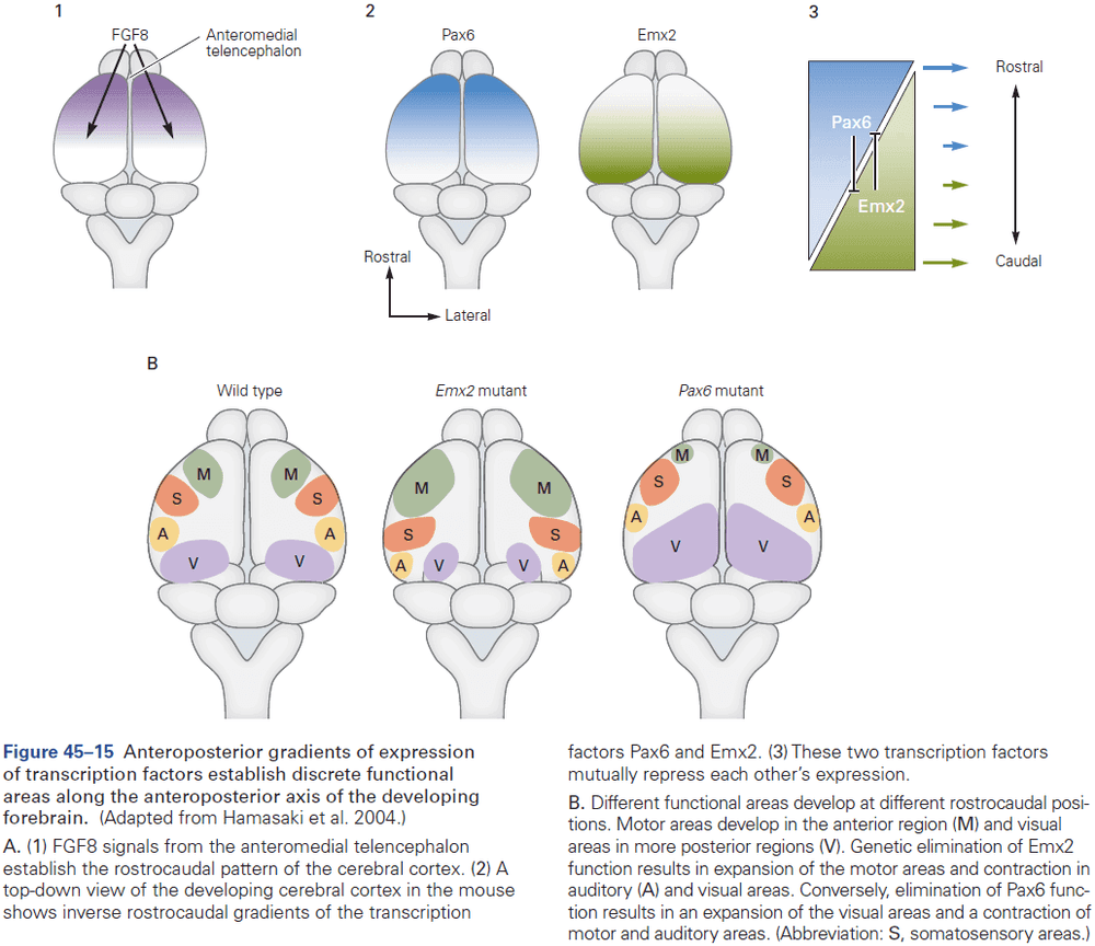 Figure 45.15