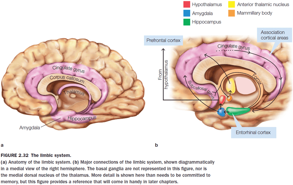 Figure 2.32