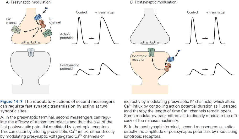 Figure 14.7