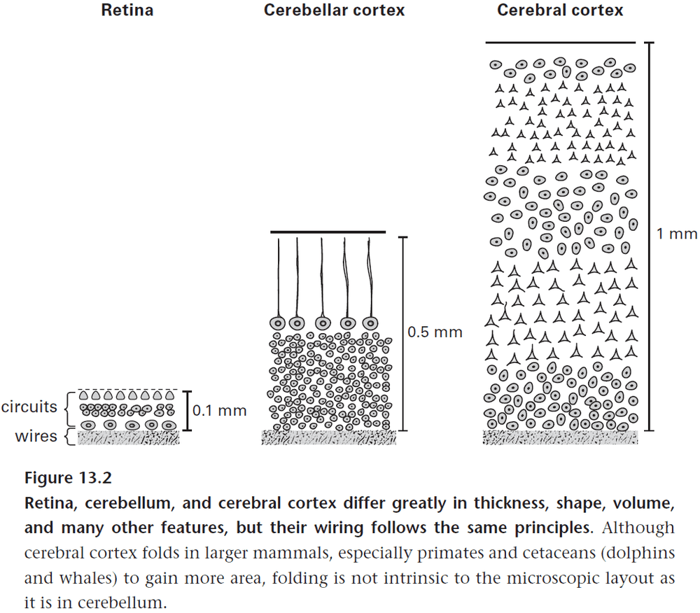 Figure 13.2