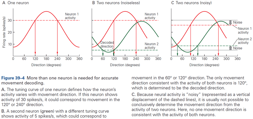 Figure 39.4