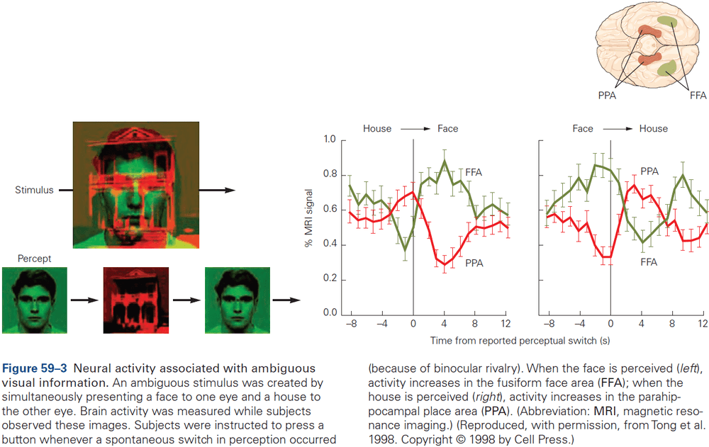 Figure 59.3