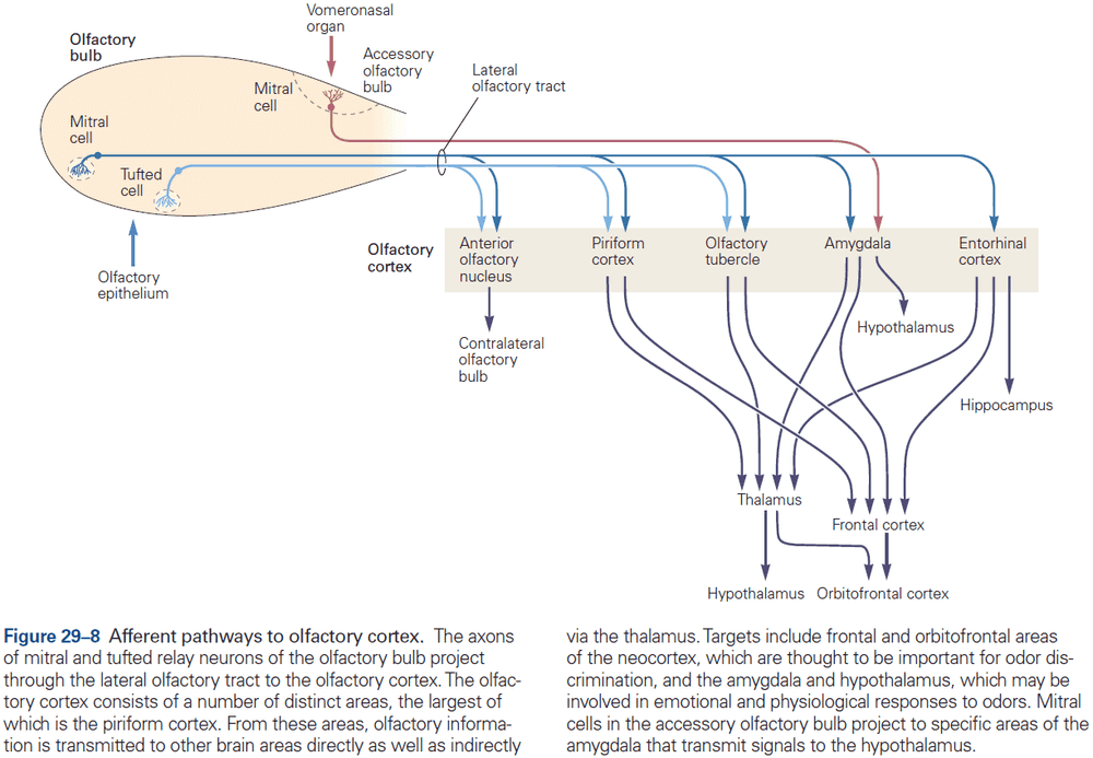 Figure 29.8