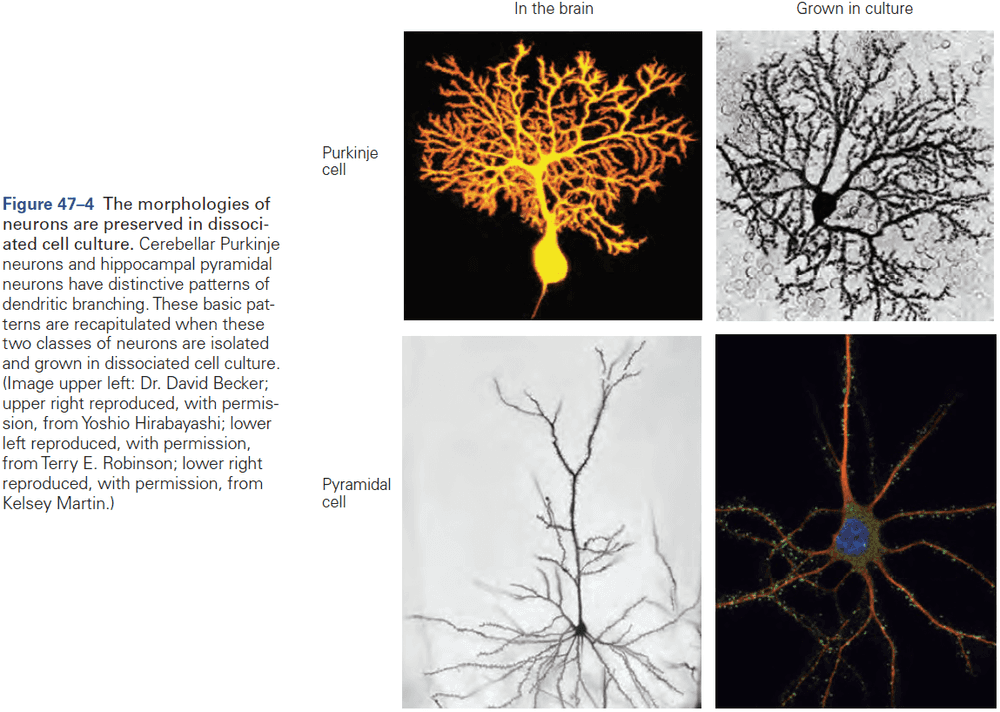 Figure 47.4