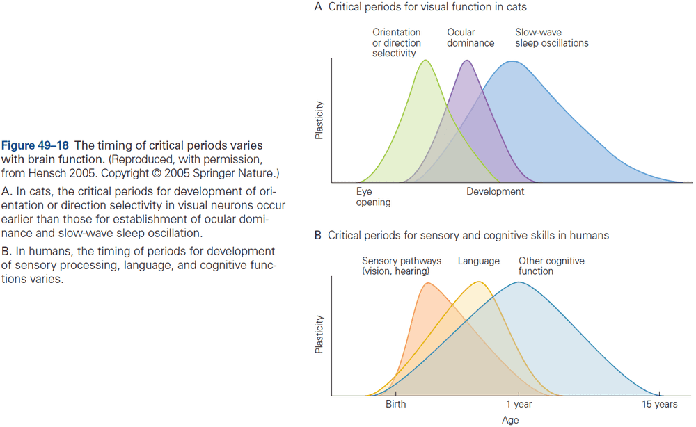 Figure 49.18