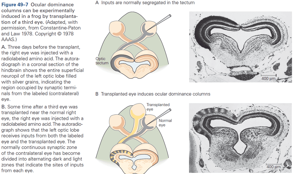 Figure 49.7