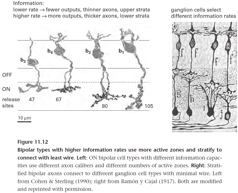 Figure 11.12