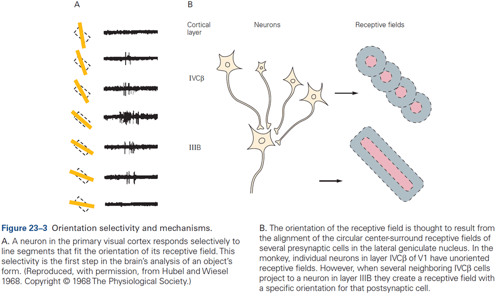 Figure 23.3