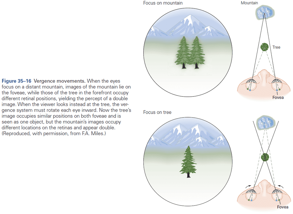 Figure 35.16