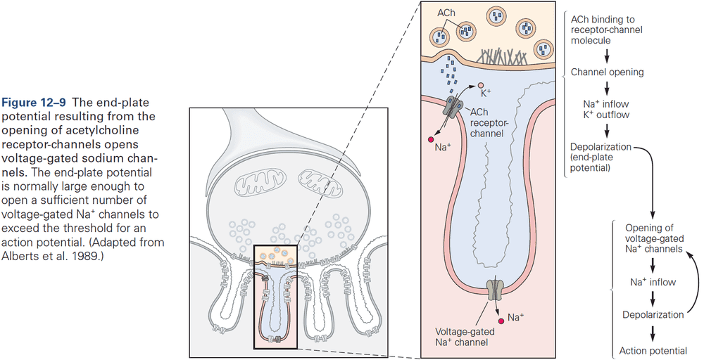 Figure 12.9