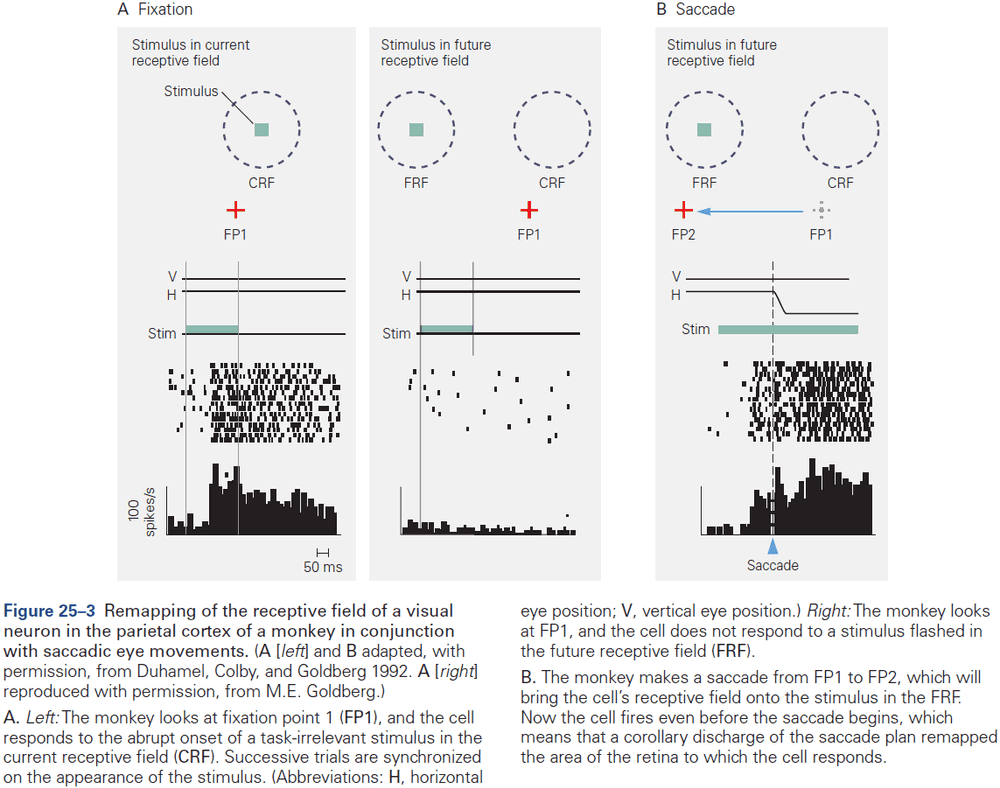 Figure 25.3