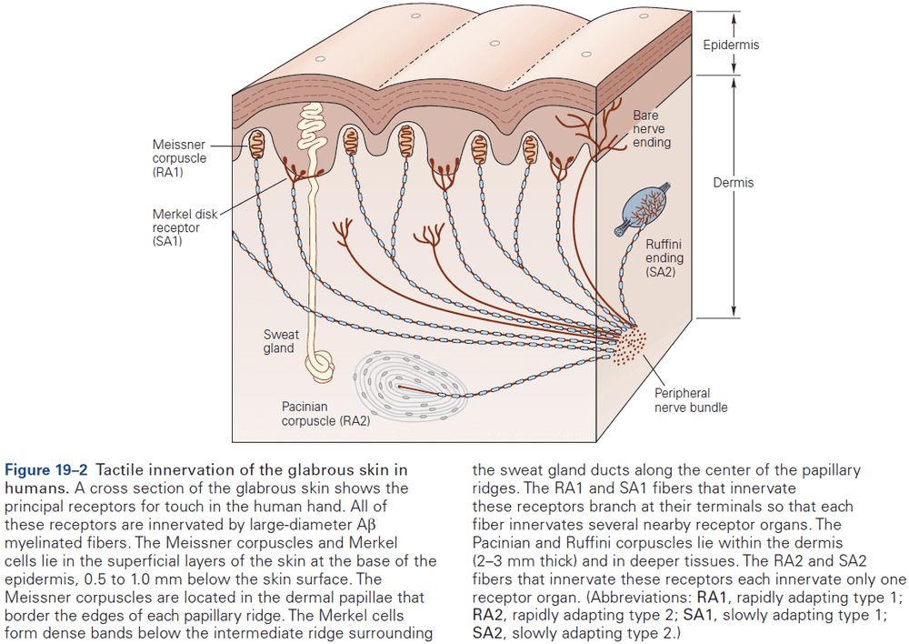 Figure 19.2