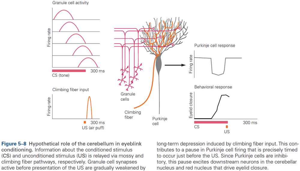 Figure 5.8