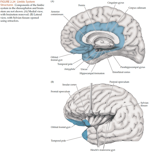 CR4-DL