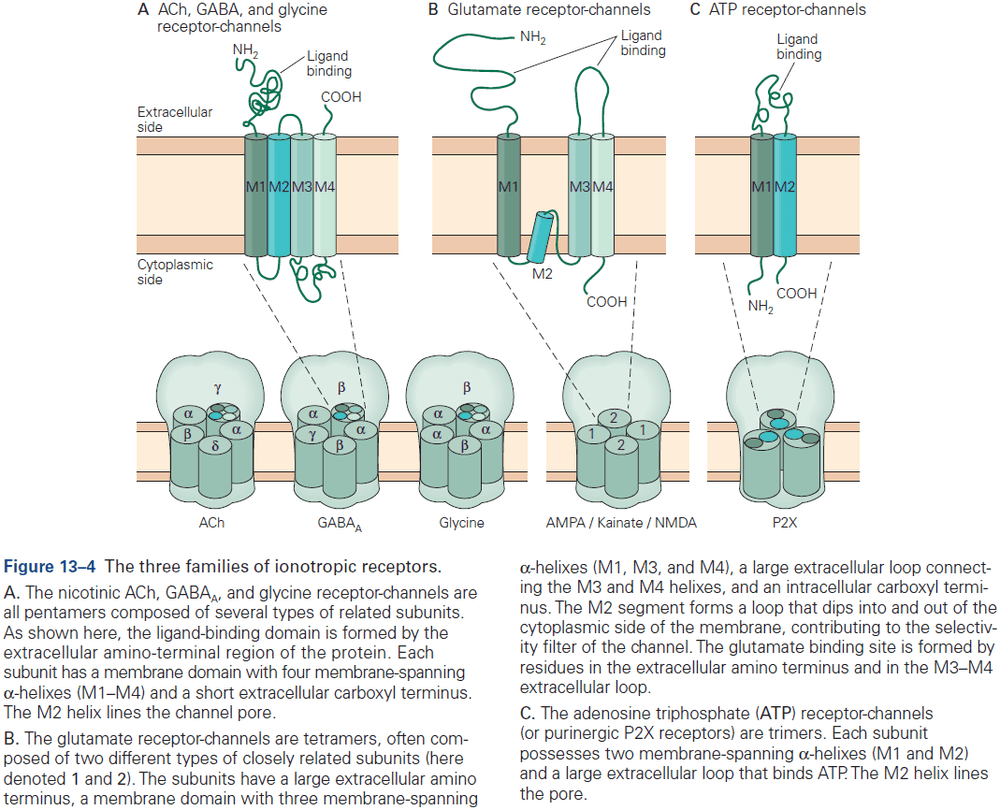 Figure 13.4