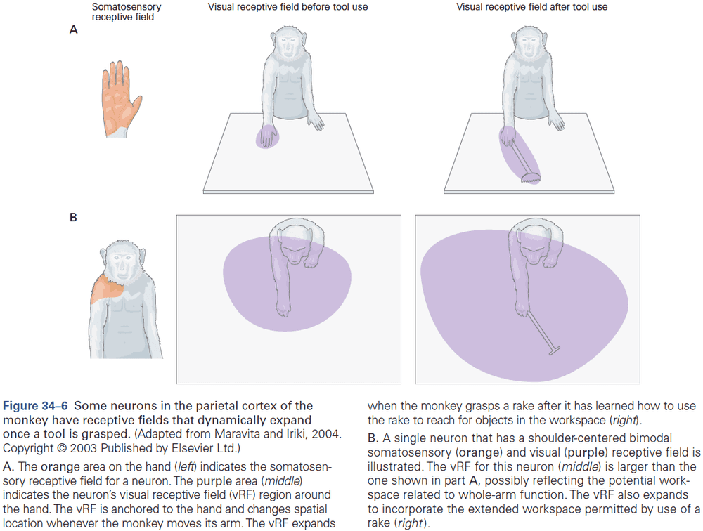 Figure 34.6