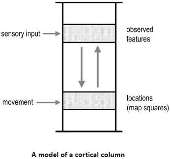 Figure Cortical Column Model