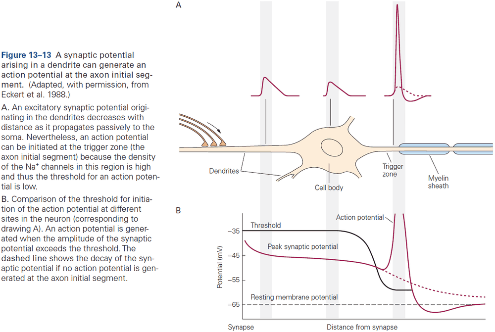 Figure 13.13