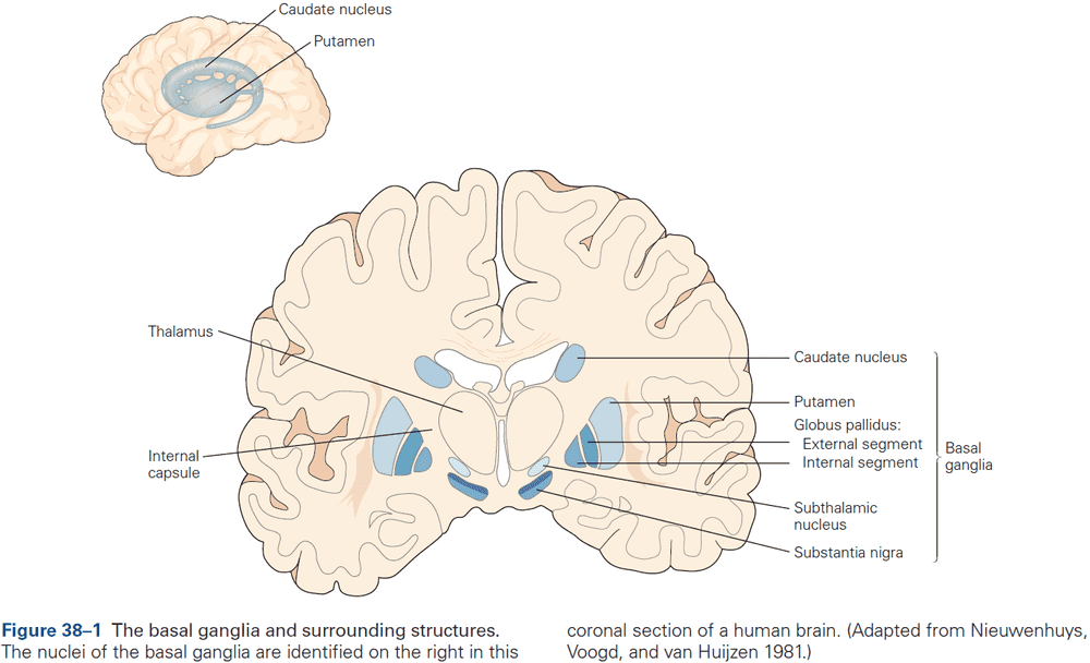 Figure 38.1