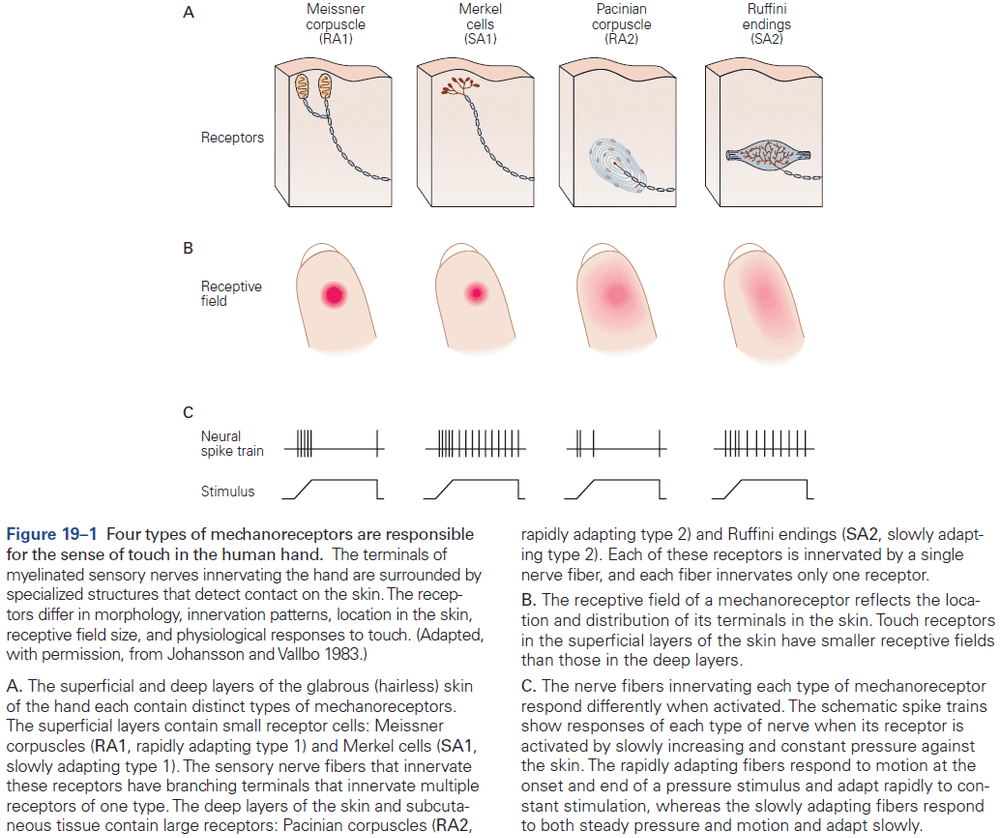 Figure 19.1