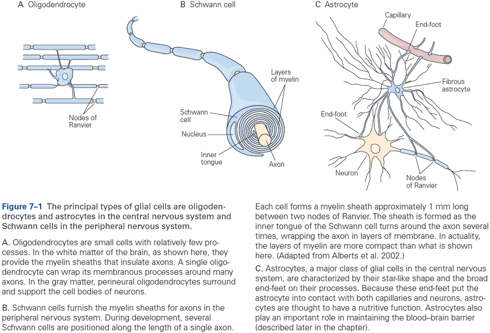 Figure 7.1