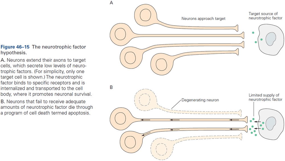 Figure 46.15