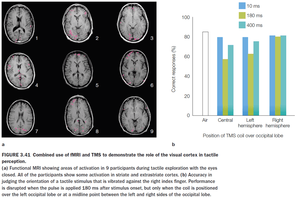 Figure 3.41