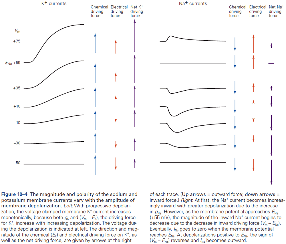 Figure 10.4