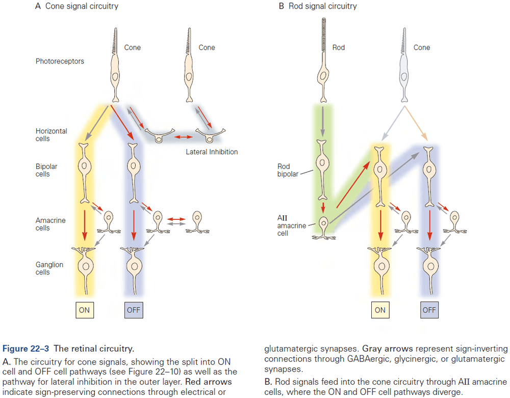 Figure 22.3