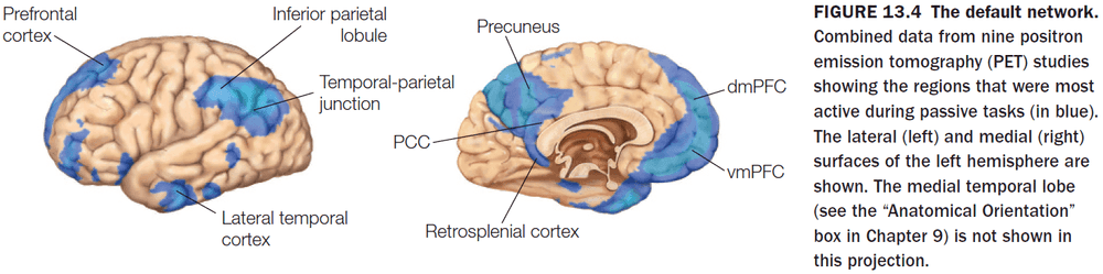 Figure 13.4