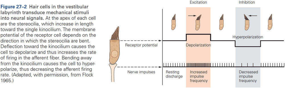 Figure 27.2