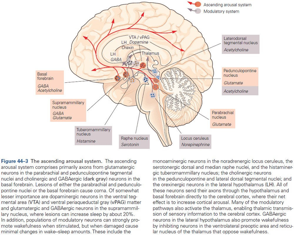 Figure 44.3