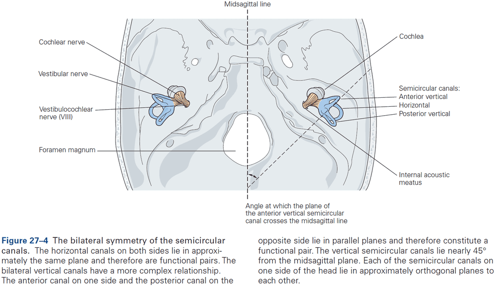 Figure 27.4