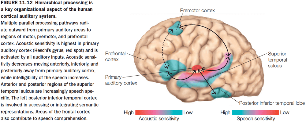 Figure 11.12