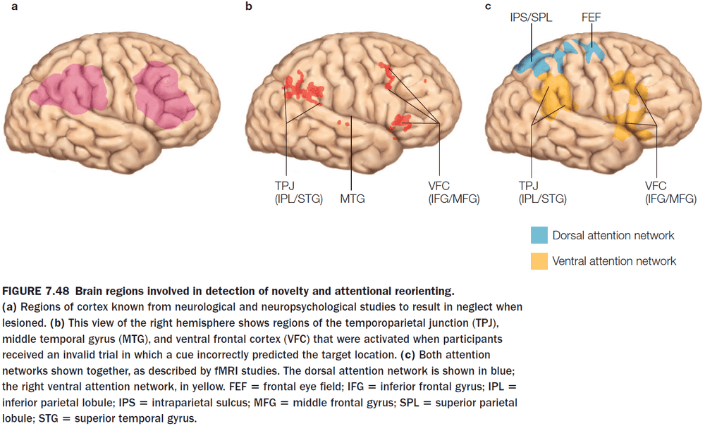 Figure 7.48