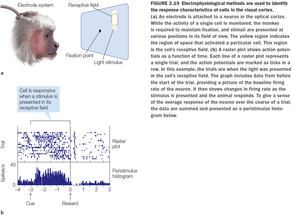 Figure 3.19