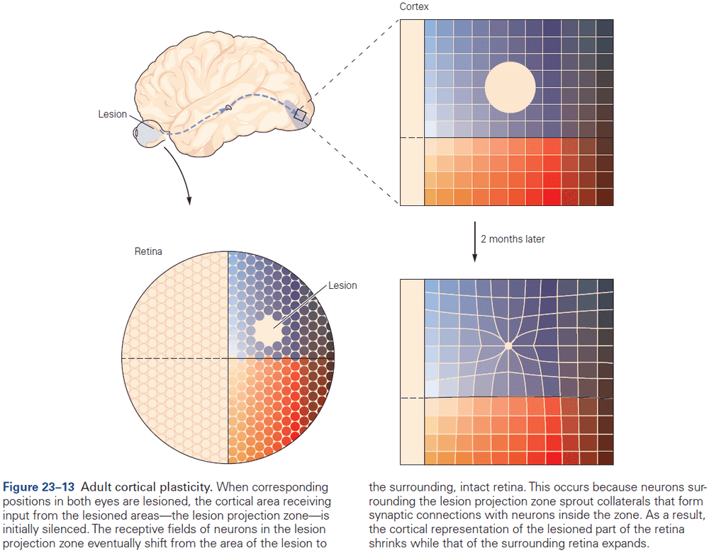 Figure 23.13