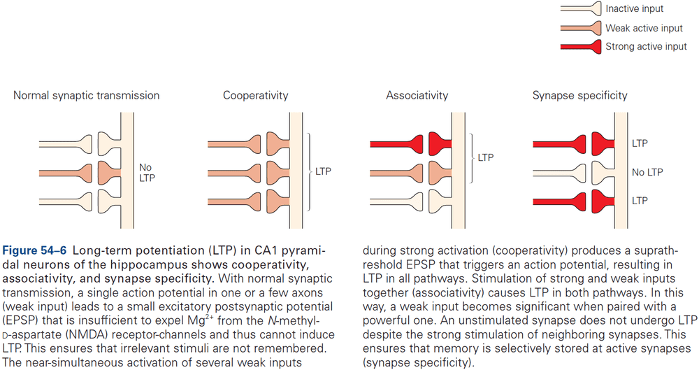 Figure 54.6