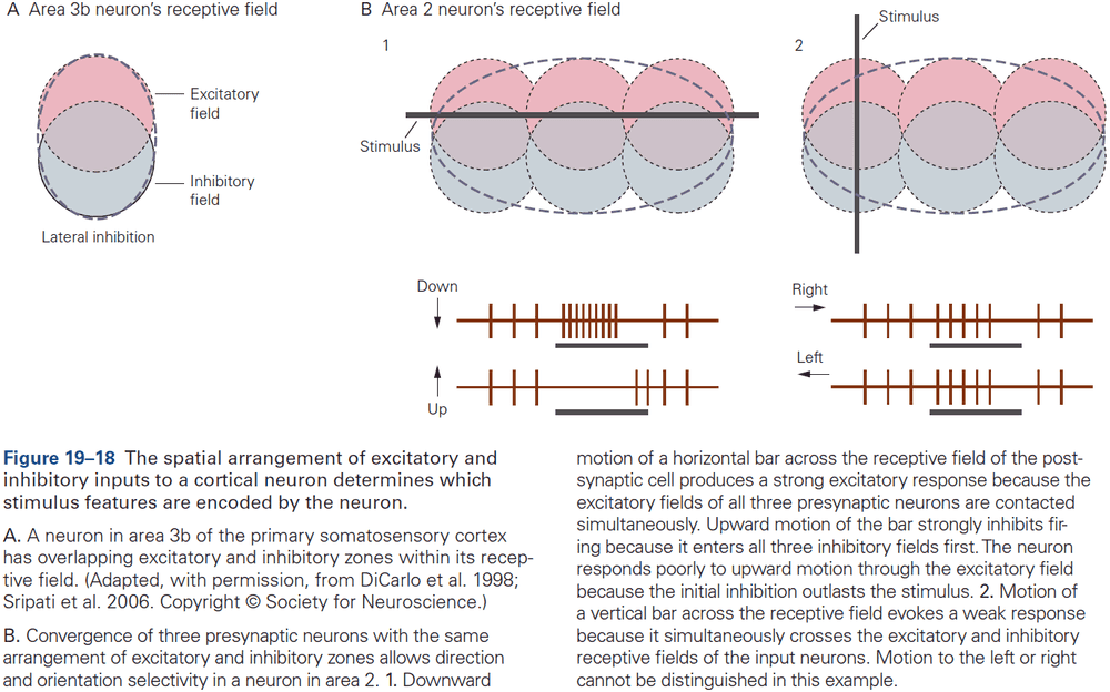 Figure 19.18