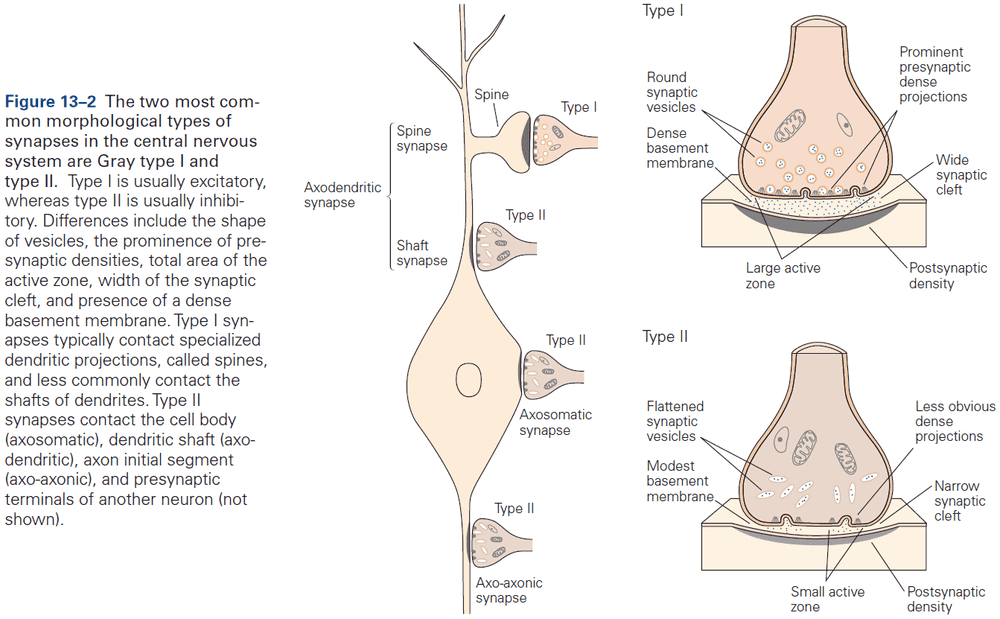 Figure 13.2