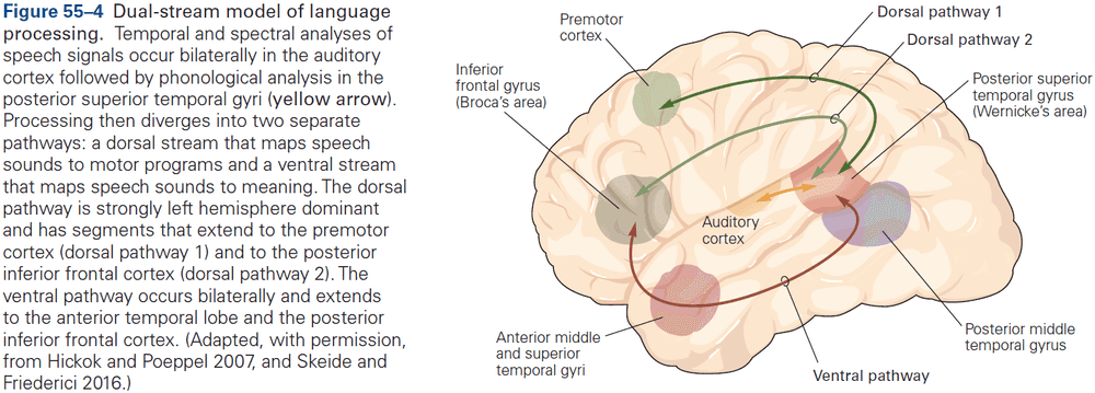 Figure 55.4