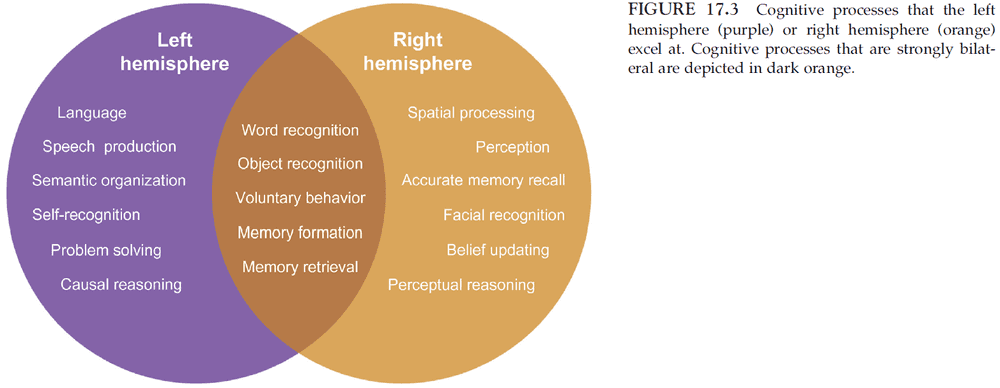 Figure 17.3